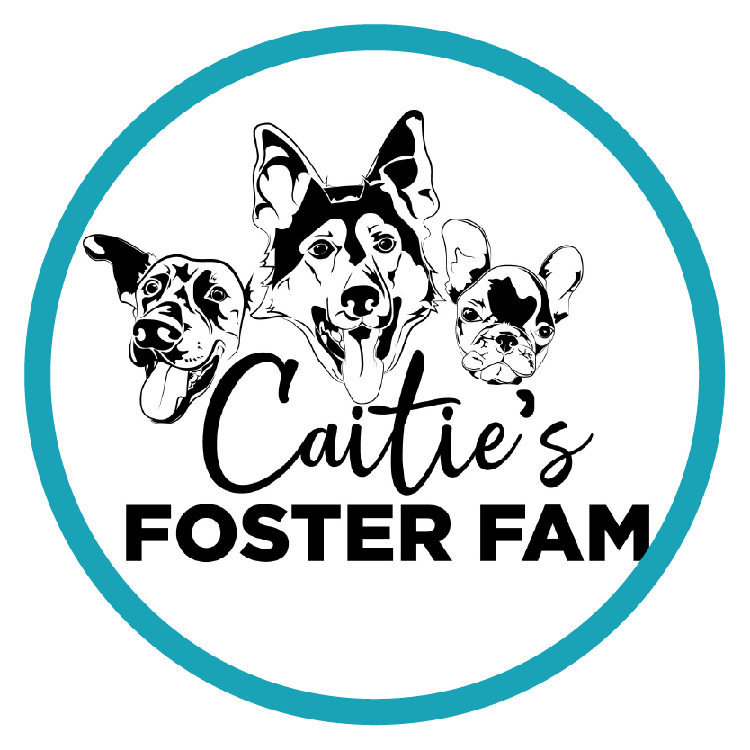 Caitie's Foster Fam