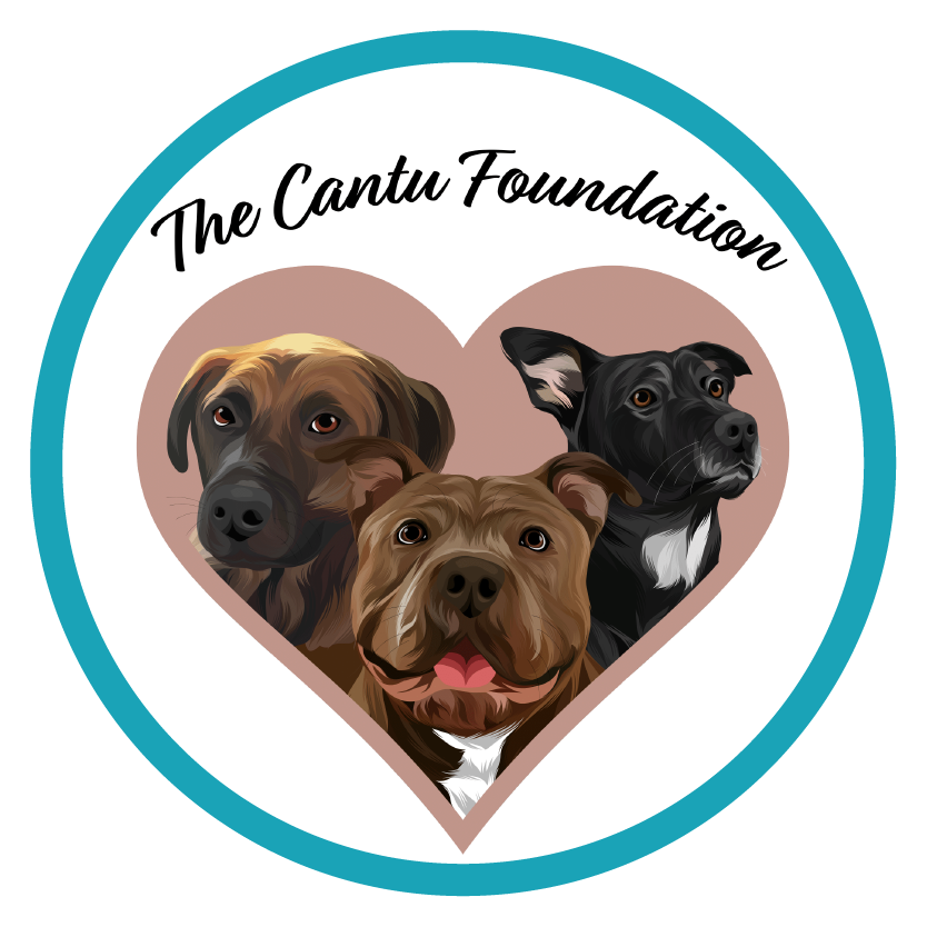 Compact Canine Rescue