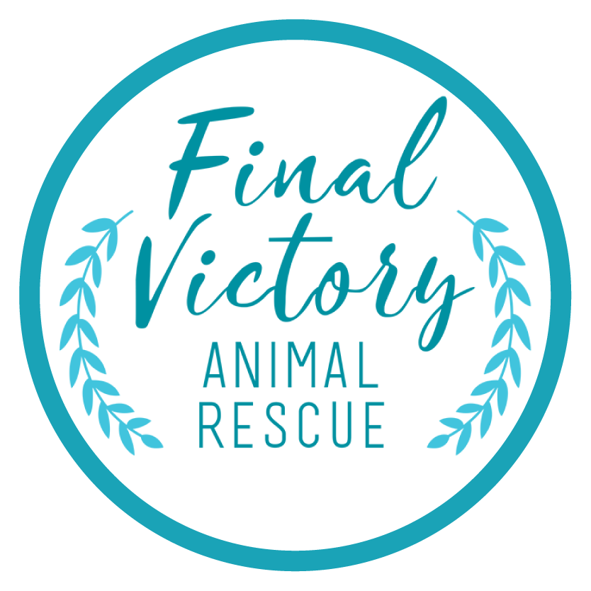 Forgotten Dogs Rescue